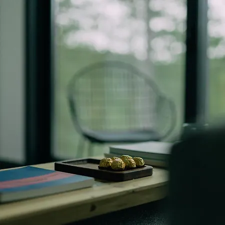 别墅 Tara Pure Nature Zaovine